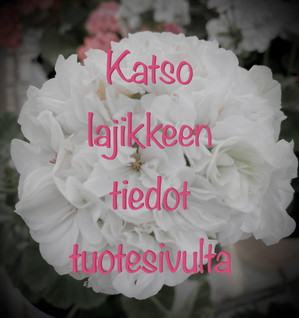Petrei Fralbum