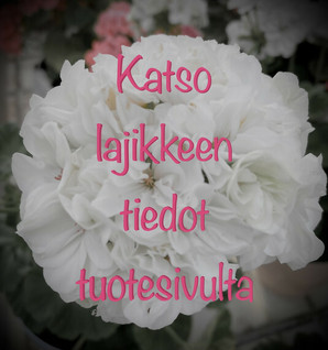 Tuulensuu