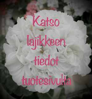 Kainuulainen
