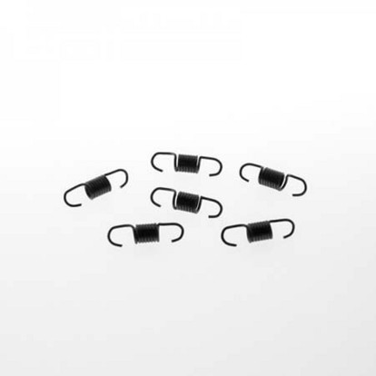 SHORT MANIFOLD SPRINGS 6pcs