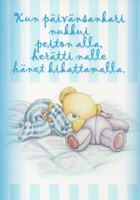 Teddy bear