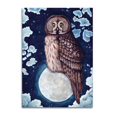 Oksi - Owl