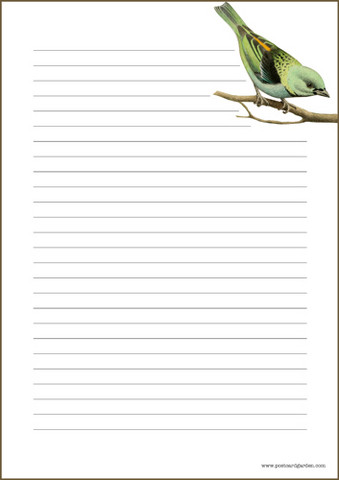Bird - writing papers (A4, 10s) #1