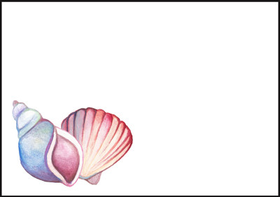 Seashell - envelope (C6) #1