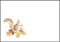 Orava - kirjekuori (C6) #1