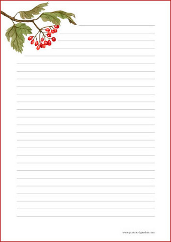 Syksyinen oksa - kirjepaperit (A5, 10s) #1