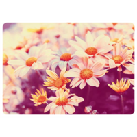 Daisies