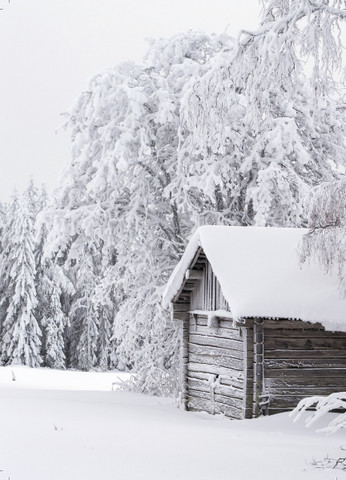 Suomi-Finland lumimaisema #10