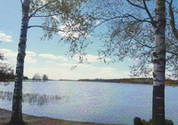 Spring lake landscape