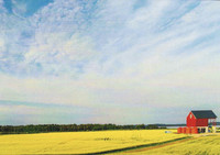 Summer field landscape