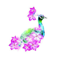 Flower peacock