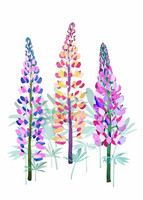 Utuliini - Lupines's summer party