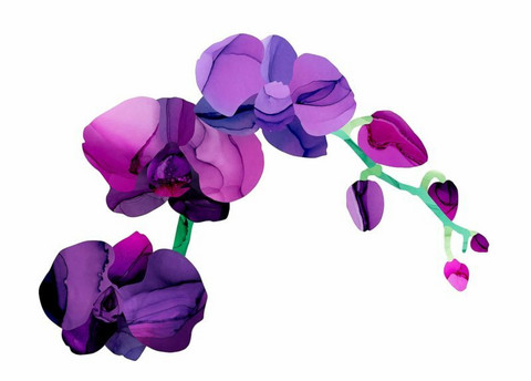 Utuliini - Orkidea, you so pretty