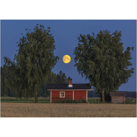 Jukka Risikko - Welcome autumn