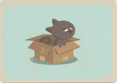 Kissa laatikossa