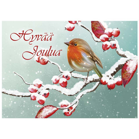 Christmas postcard - Birds #2