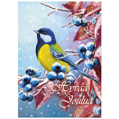 Christmas postcard - Birds #4