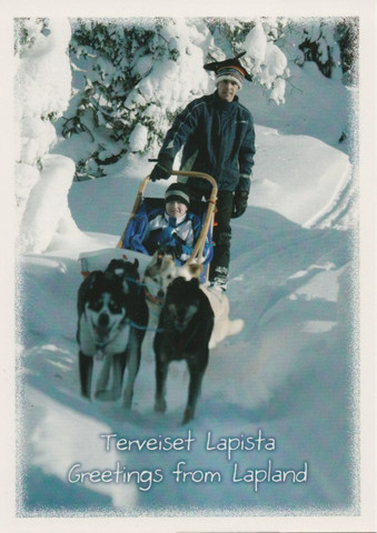 Greetings from Lapland - dog sled
