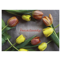 Easter greeting - colorful tulips