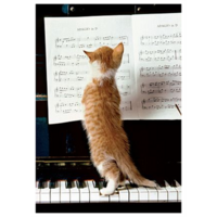 Kissa ja piano
