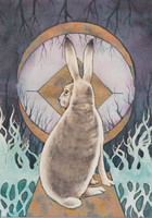 Oksi - Hare