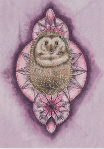 Oksi - Hedgehog