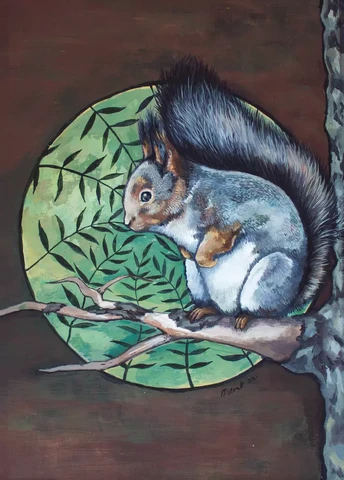 Oksi - Squirrel