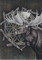 Oksi - Hirvi