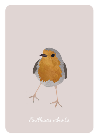 Bedaprint - European robin
