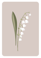 Bedaprint - Lily-of-the-valley