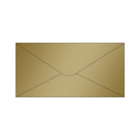 Solid color long envelope 12,3x23,5cm - gold