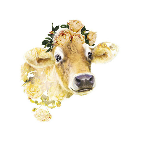 Flower cow
