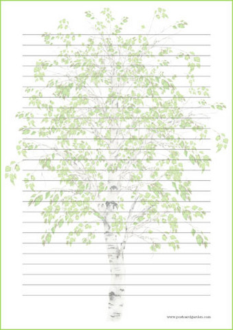 Koivu - kirjepaperit (A5, 10s) #1
