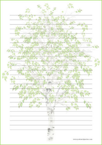 Birch - writing papers (A4, 10s) #1