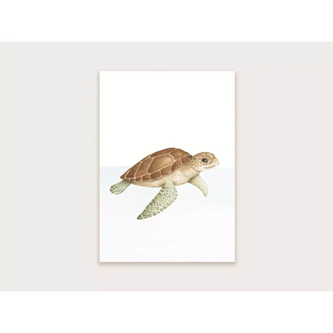 Appeloogje - Turtle