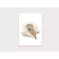 Appeloogje - Owl