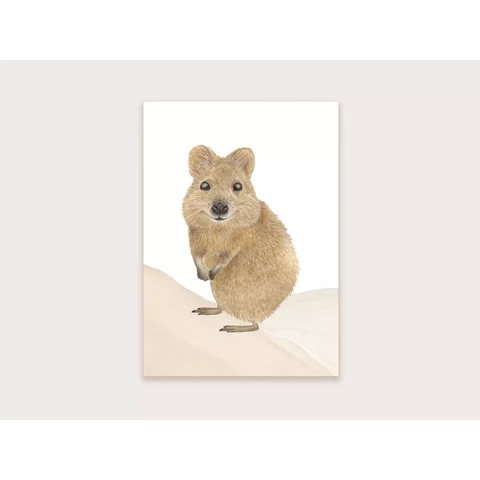 Appeloogje - Quokka