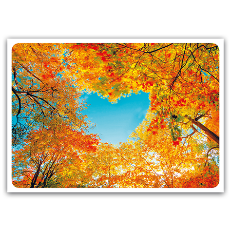 Heart among the autumn trees