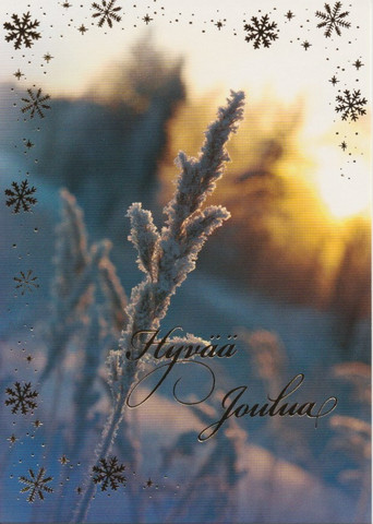 Christmas postcard - Photo view #10