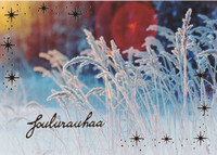 Christmas postcard - Photo view #14
