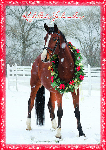 A peaceful Christmas time - horse