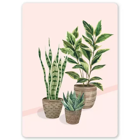 Little Lefty Lou - Plants on pink