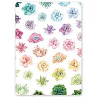 Little Lefty Lou - Rainbow Succulents