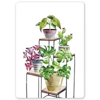 Little Lefty Lou - Sidetable Plants