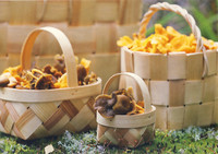 Mushroom baskets