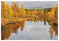 Autumn landscape