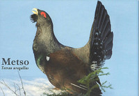 Metso