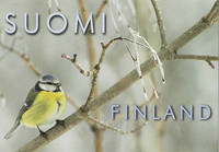 Blue tit (Suomi-Finland)