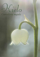 Kielo