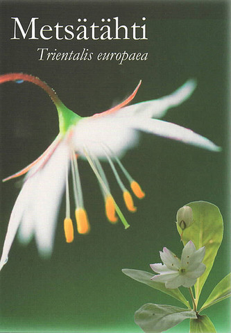 Starflower
